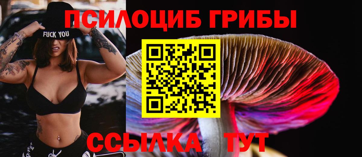 Горно-Алтайск  Галлюциногенные грибы ЛСД  Галлюциногенные грибы прущие грибы  Вход с VPN 